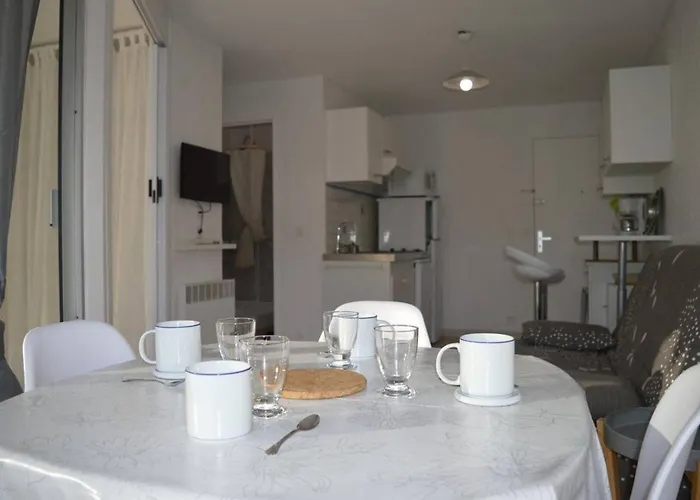 Daire Aux Capellans 4 Personnes Cyprien Sc140-e95 Saint-Cyprien (Pyrenees-Orientales)