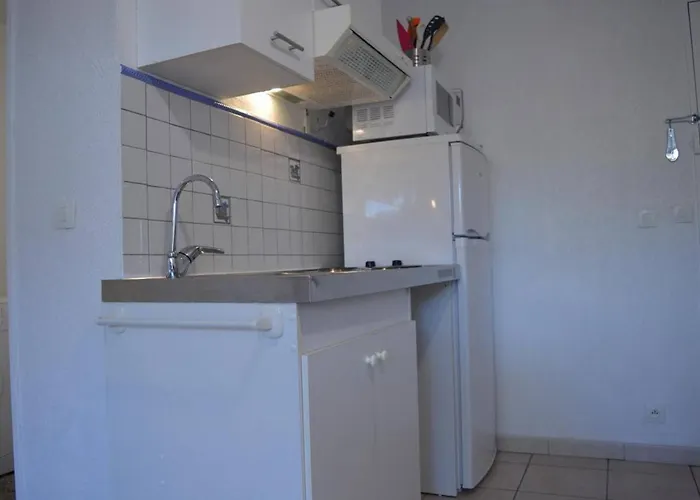 شقة Aux Capellans 4 Personnes Cyprien Sc140-e95 *